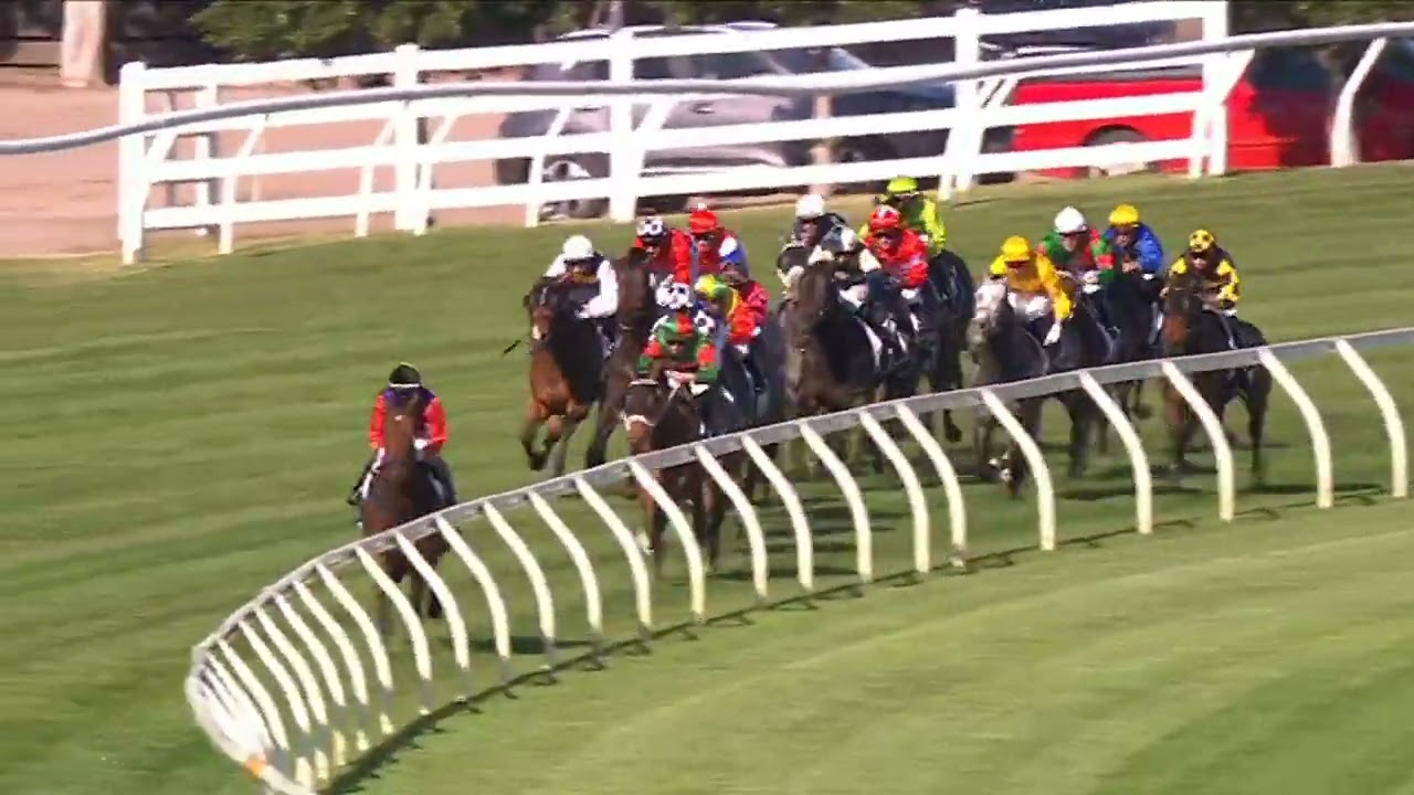 Valiant King Shines in the Bart Cummings 2025 Group 3 at Flemington 🏆