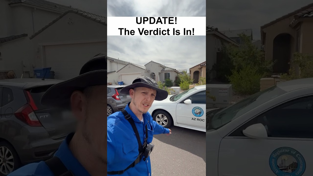 CyFy & State vs Builder: Key Differences