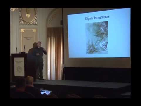 Neuroevolution Through Erlang - Gene Sher