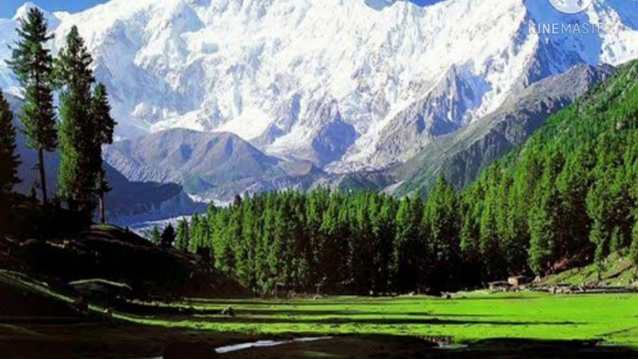 Qafirana Song | Kedarnath | Urvi Chauhan 🎶