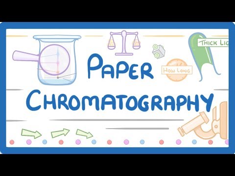 GCSE Chemistry - Paper Chromatography
