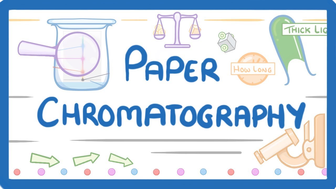 Master GCSE Chemistry Paper Chromatography Quiz π§ͺ