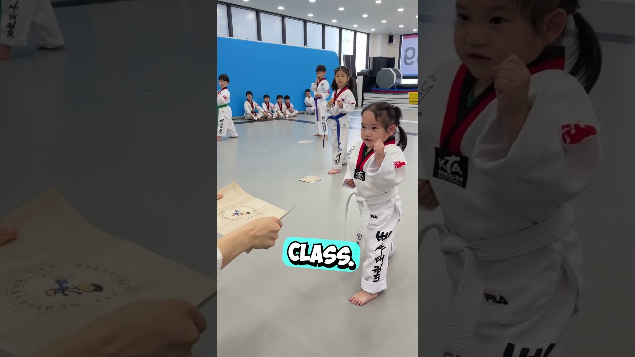 Young Taekwondo Pro Demonstrates Impressive Skills