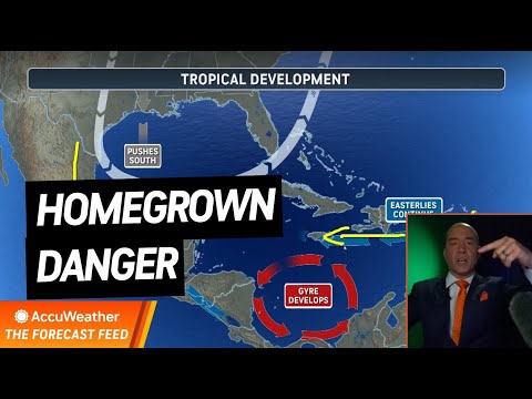 The Forecast Feed: How Fast Can Storms Form Near Home?