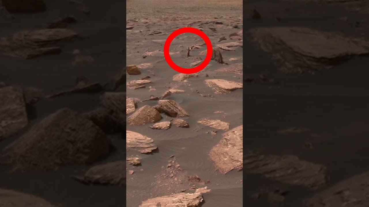 NASA Curiosity Captures Mars Image 📸