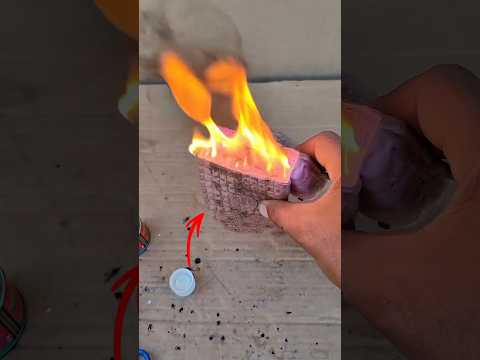 ફેવિકોલ કેવી રીતે બને😯‼️ || #shorts #viral #facts #farming #shortvideos #viralvideos