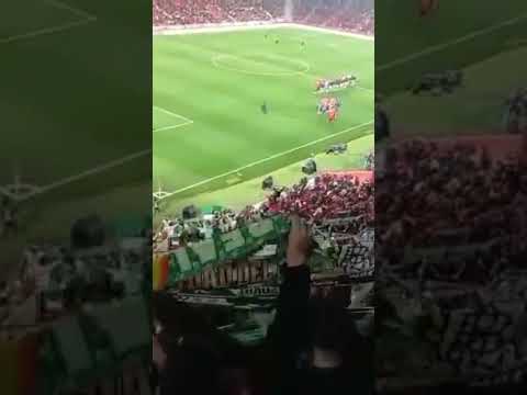 Mallorca Betis Himno Betis #realbetis #betis #mallorca #futbol #football #footballshorts #laliga