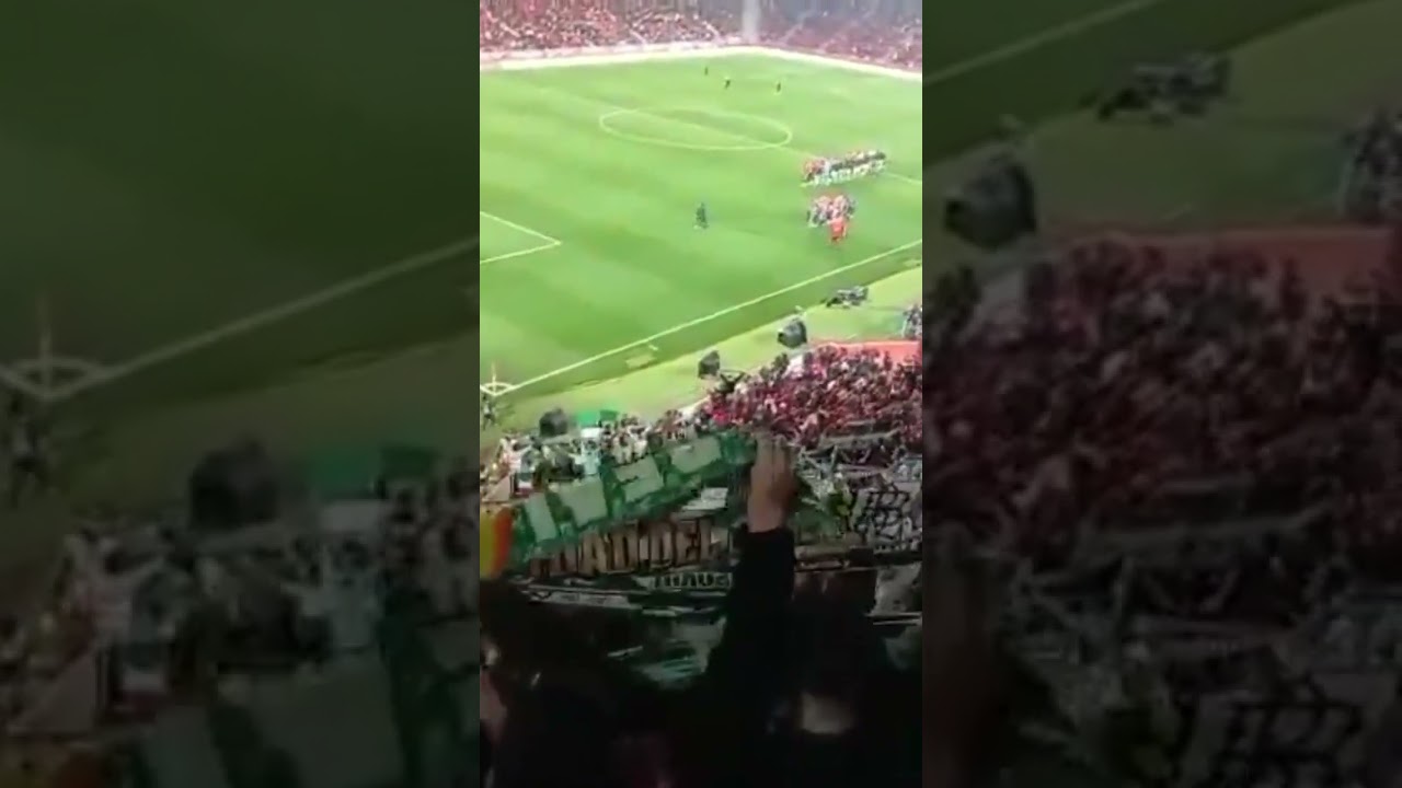 Epic Mallorca vs. Betis Match | Watch the Betis Anthem & Highlights ⚽