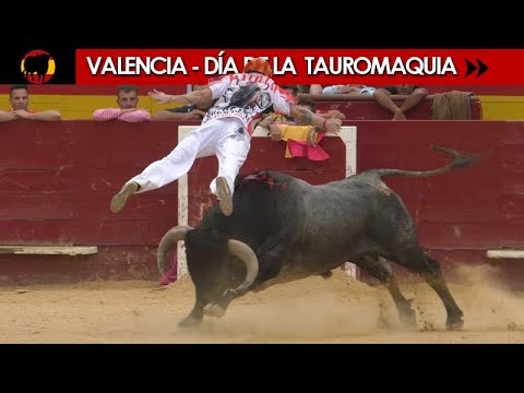 Valencia: Leyendas y Recortadores con Toros 🐂