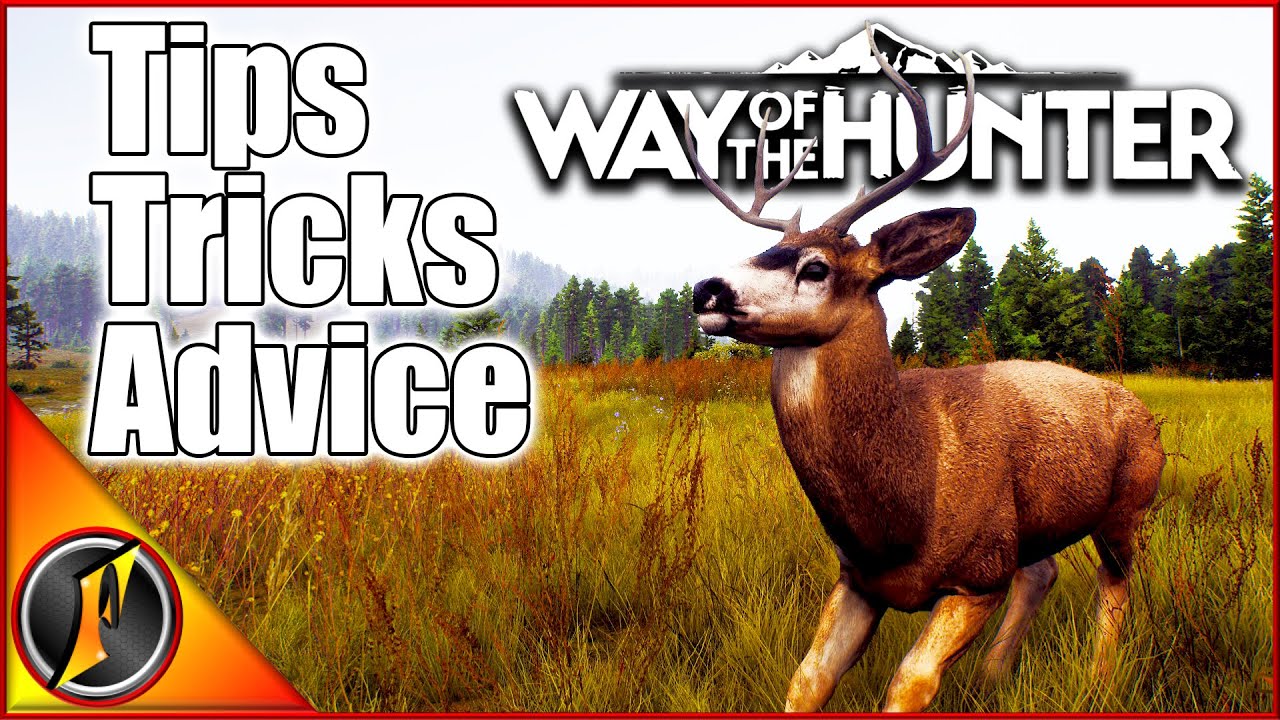 Way of the Hunter Beginner's Guide: Tips & Tricks 🦌