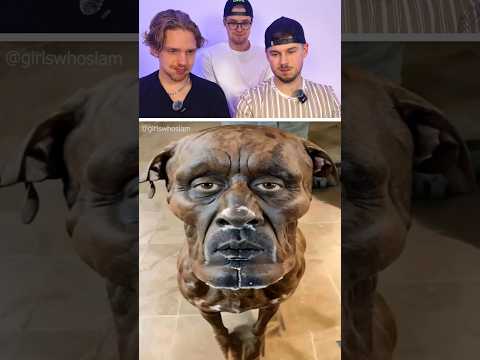 Try not to laugh ❗ | 401 #funny