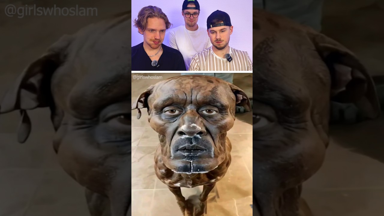 😂 Try Not to Laugh Challenge | 401 Hilarious Videos to Test Your Self-Control!