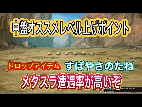 【ドラクエ1リメイク攻略】メタルスライムがめっちゃ出てくる！オススメレベル上げポイントの場所説明します‼︎