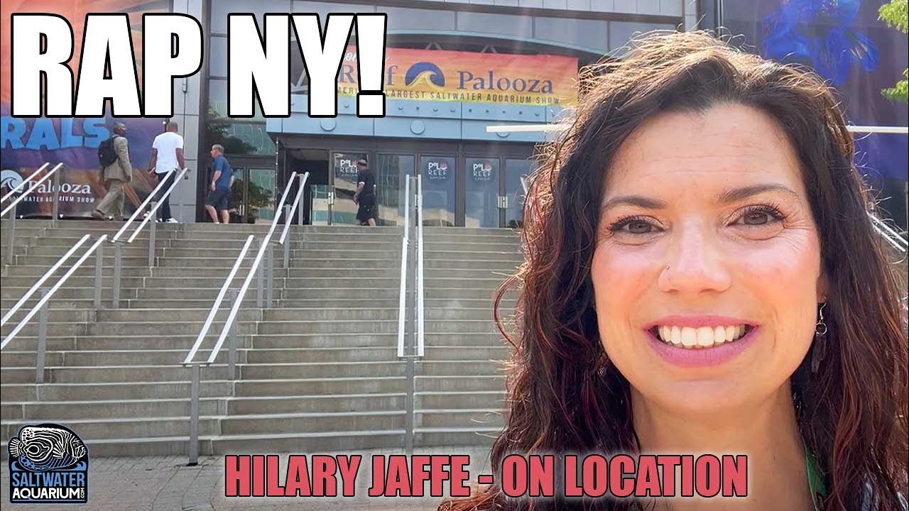 WALKTHROUGH Reefapalooza New York 2024 - Hilary Jaffe On Location