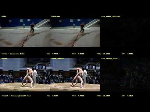 VStegNET: Advanced 3D CNN for Hidden Video Steganography đ„