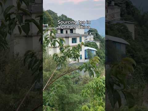 Best of 2023! Raw honey in Yunnan this June #travel #bestof2023 #jessesteahouse #tea #china