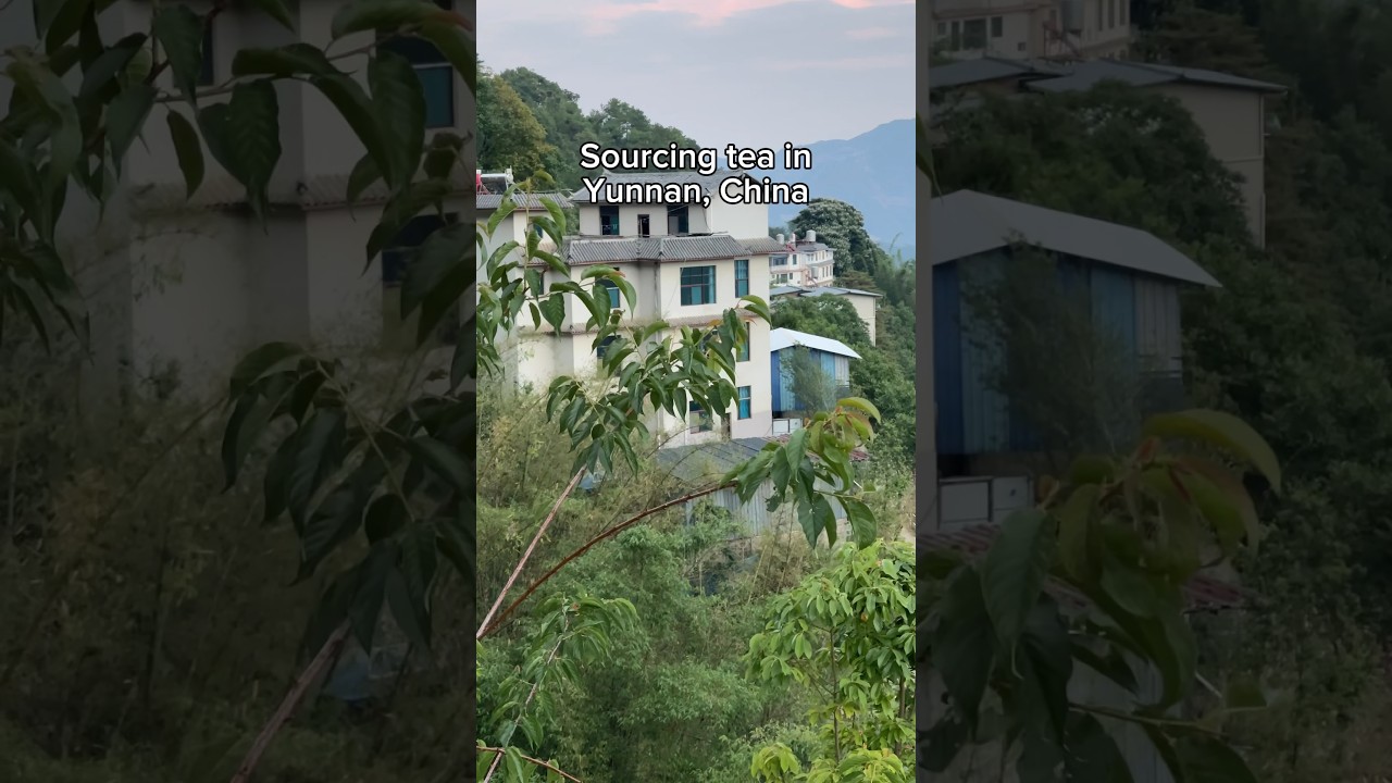 Discover Yunnan's Finest Raw Honey in June 2023 🍯