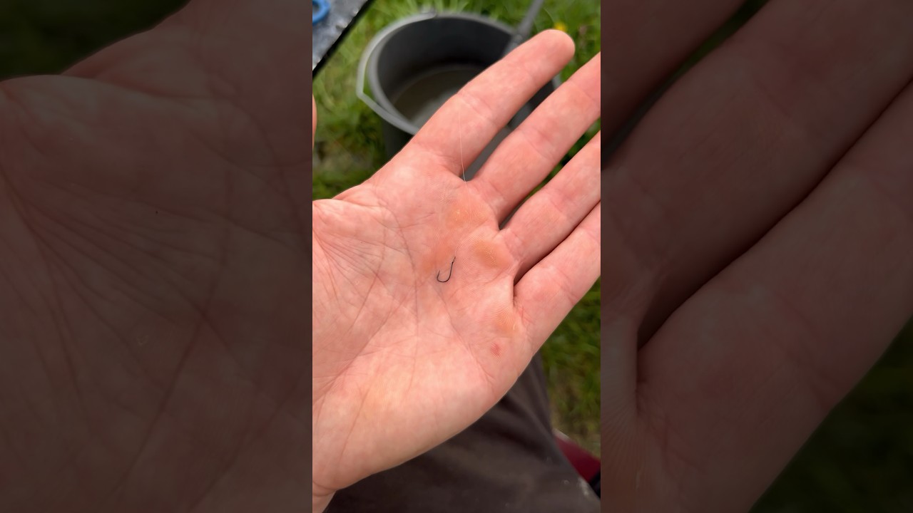 Что делать, если крючок остался голым после поклёвки? Советы рыболовам 🎣