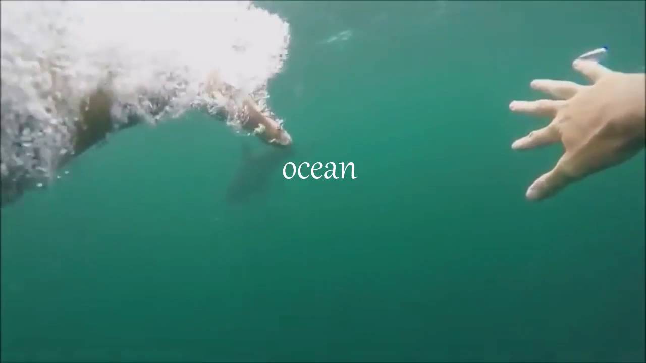 The Ocean 🎶 - Mike Perry & Shy Martin | Unofficial Lyric Video