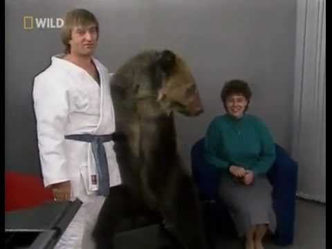 Атака медведя на человека 🐻