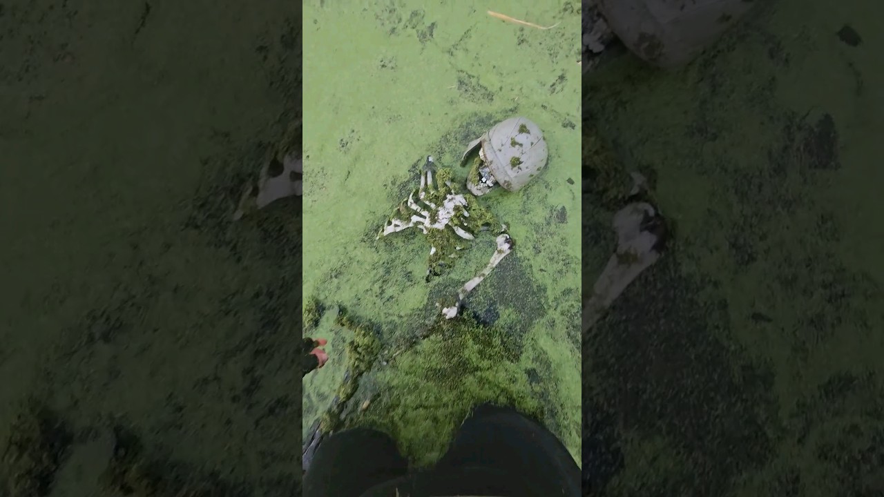 Découverte d'un squelette dans un plateau abandonné 🧟♂️
