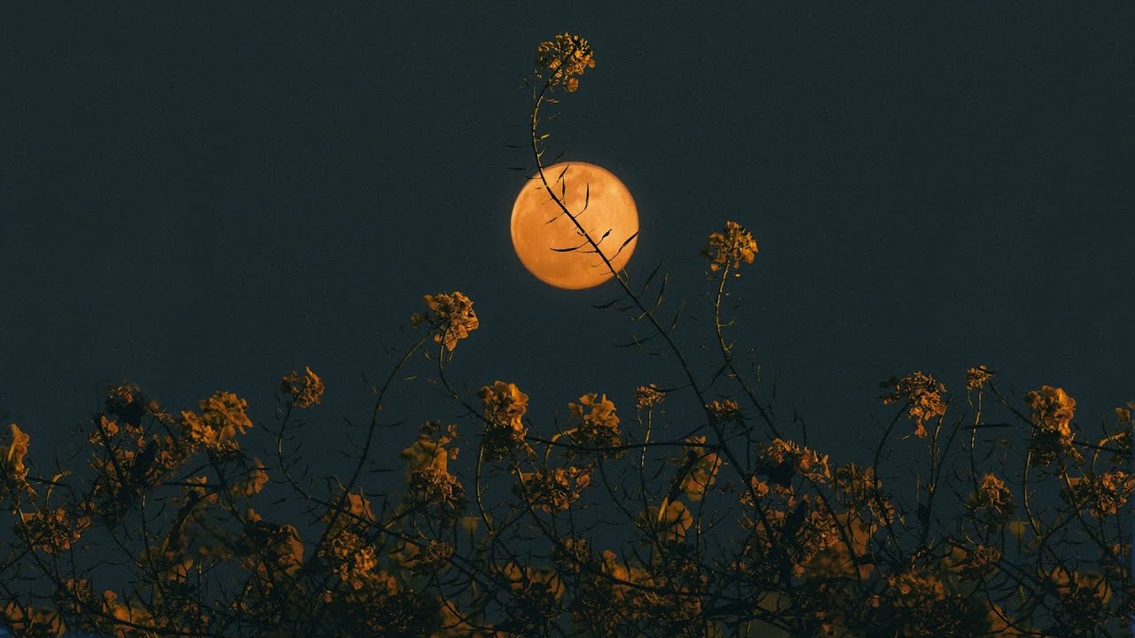 Post-Rock Vibes Under the Moon 🌙