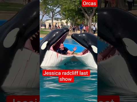 JESSICA vs orcas attack trainer Jessica last show #jessica #orca #viral #viralshorts #shorts #yt