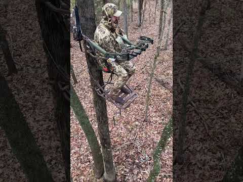 Big Buck Hunt! #nature #hunting #deerhunting #deer #archery #bowhunting #teamspypoint