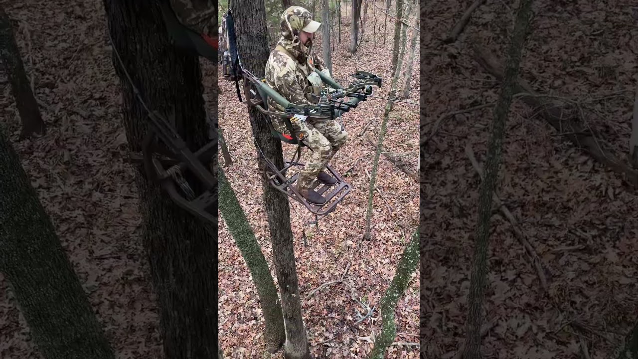 Epic Deer Hunting Adventure with Big Buck Hunt! 🦌