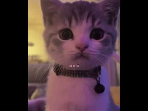 my love for you..π€©#shorts