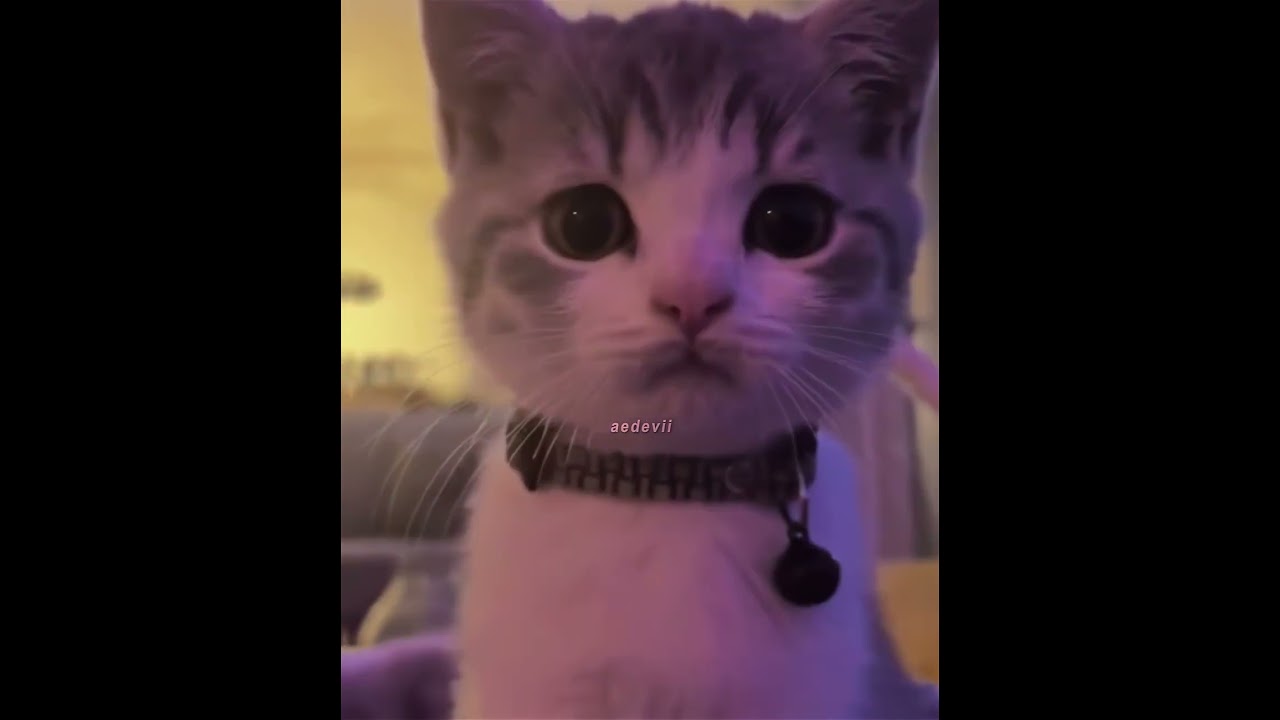 My Love for You ❤️ | Trending Short Video