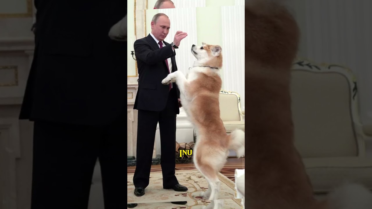 Vladimir Putin’s Passion for Animals 🐾