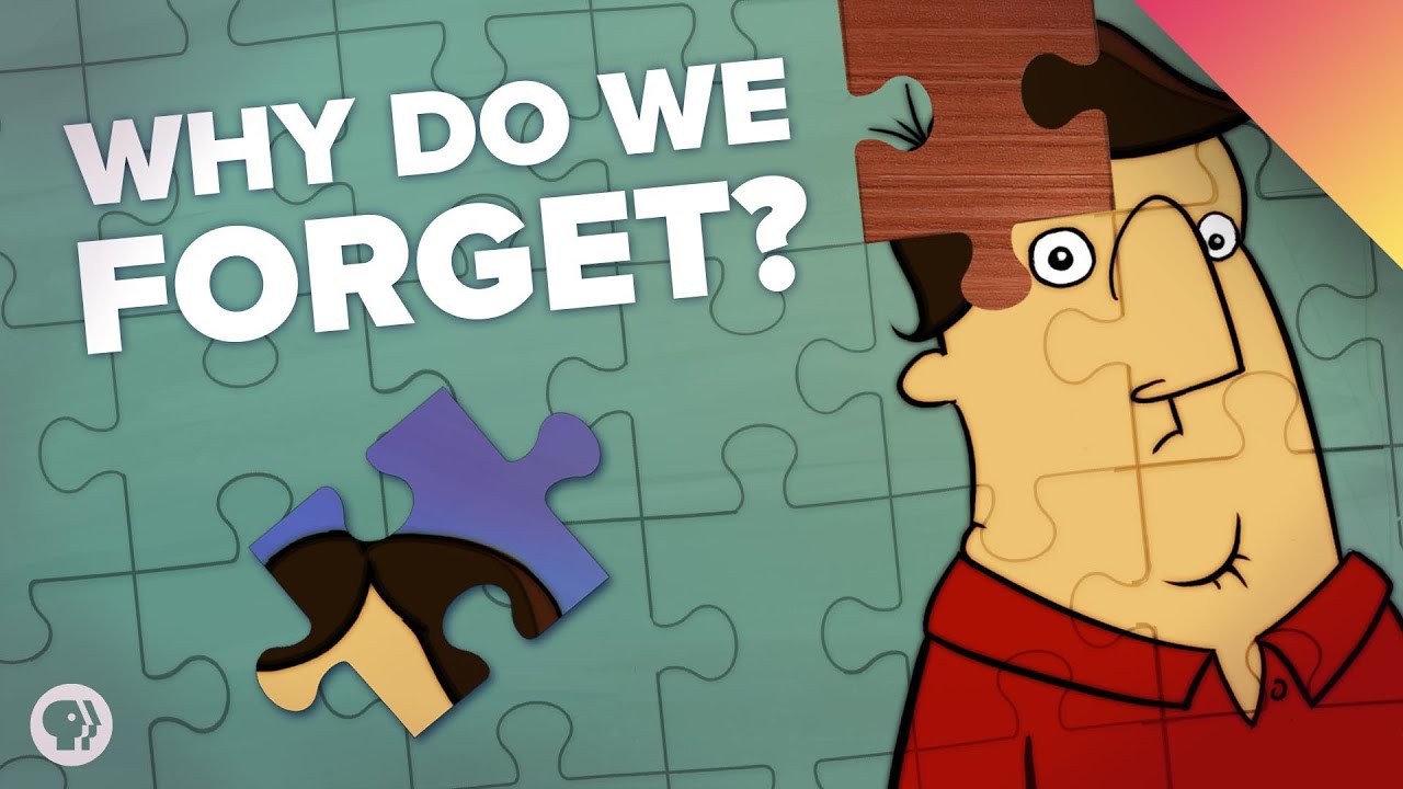 Understanding How Memory Works 🧠