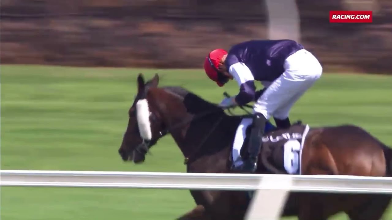 2020 Melbourne Cup: Twilight Payment 🏆