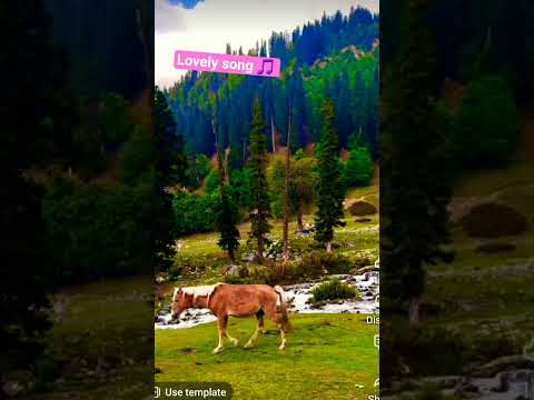 30 Discover the Beauty of Nature: Travel & Love Stories 🌿