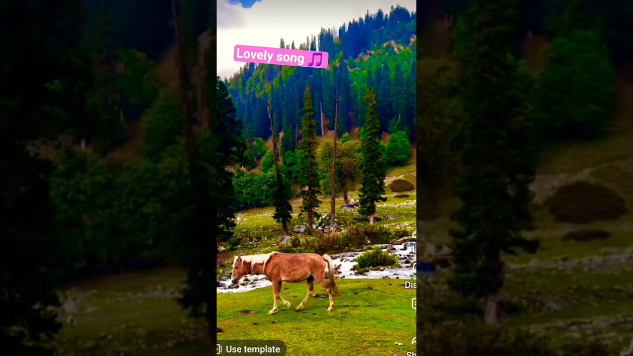 30 Discover the Beauty of Nature: Travel & Love Stories 🌿