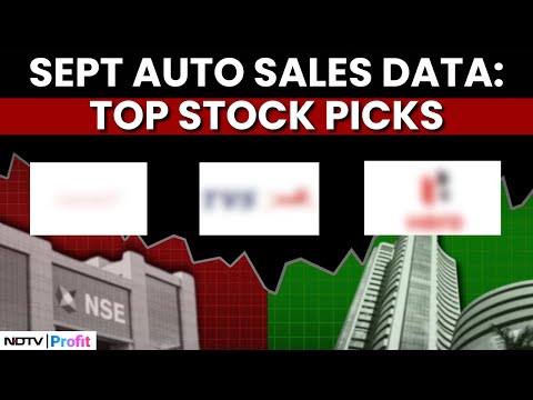 Why Experts Are Betting Big On These Stocks In Auto Sector Pack; Should You Invest?