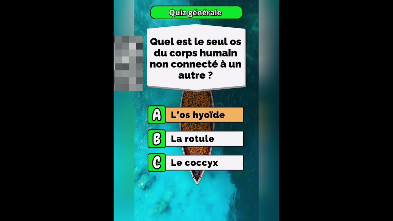 Quiz Time! Test Your Knowledge 🧠