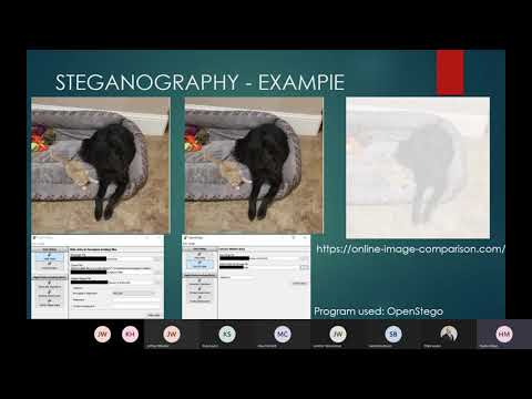Steganography Research by Hunter Mays