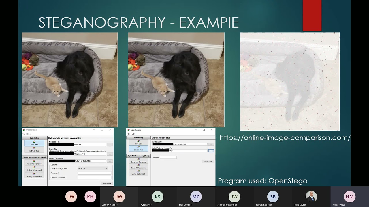 Steganography Research Insights by Hunter Mays ๐