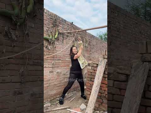 New Funny Videos 😸😂 Chinese Funny Video #shorts #funny