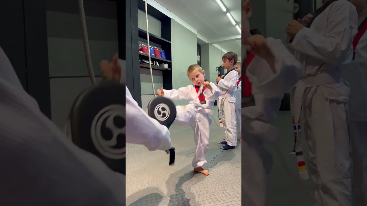 Taekwondo for Kids | Kicks and Techniques