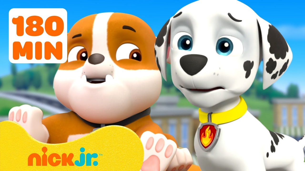 PAW Patrol's Big Feelings with Marshall & Rubble π