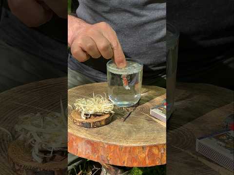 Amazing Comparison Test: Stormproof Matches vs Wind and Water! #survival #camping #lifehacks