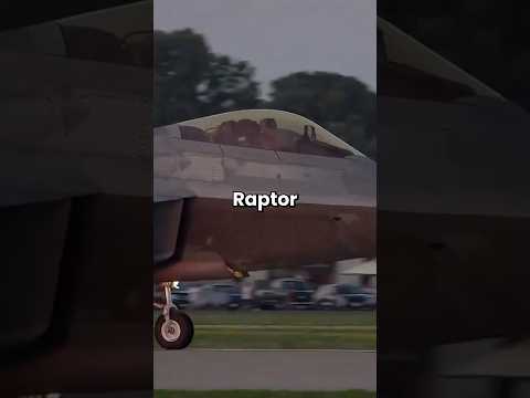 Why This Stealth Fighter Jet Is Gold