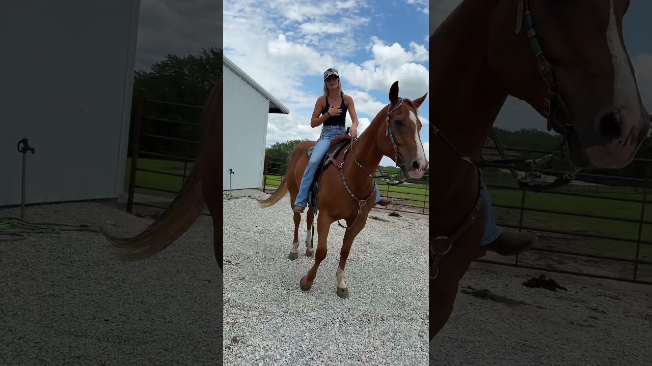 Has He Accepted? 🤔