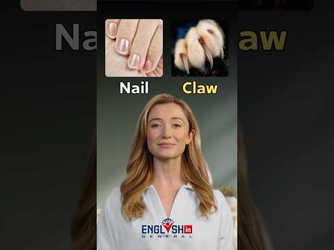 Common English Word Pairs - Learn English Vocabulary