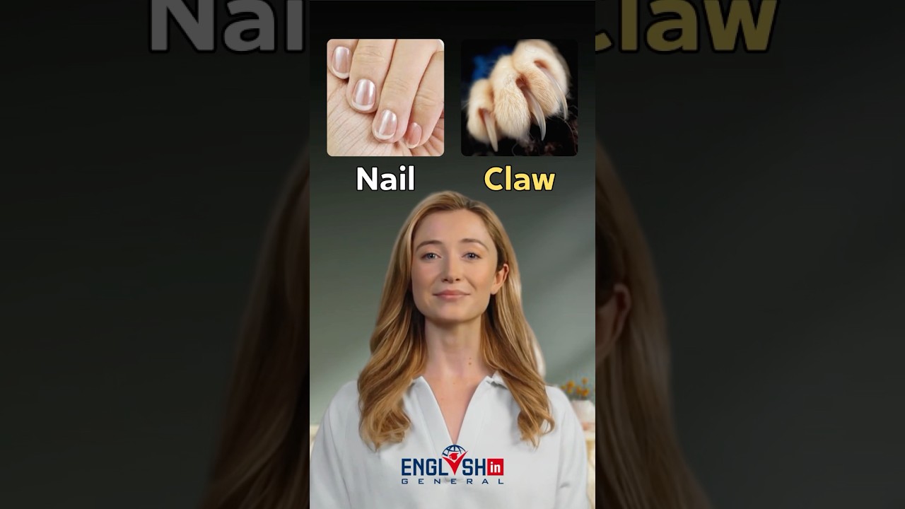 Master Common English Word Pairs: Boost Your Vocabulary! 📝