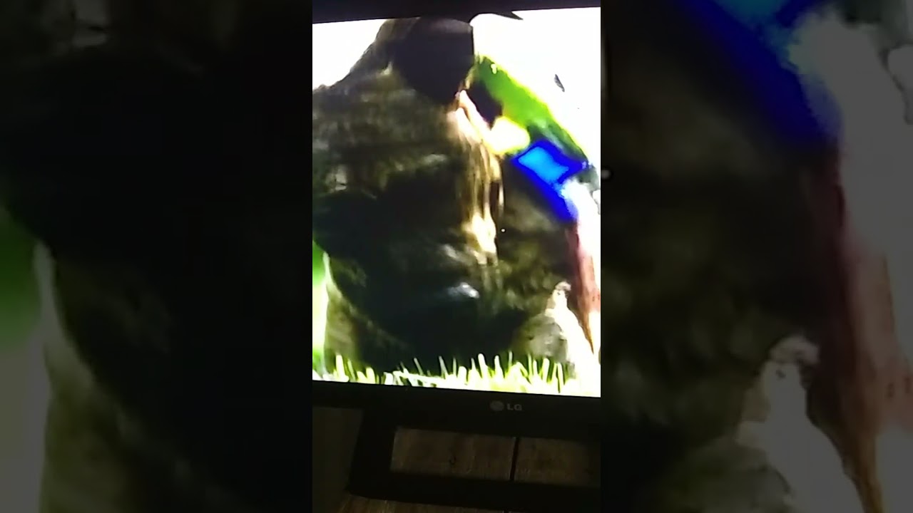 Incríveis Momentos de Amizade entre Animais 🐾