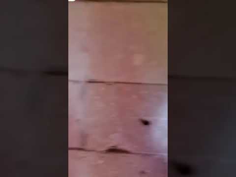 bhutiya ghar ke video | bhutiya Ghar | bhoot | dhakad chhora